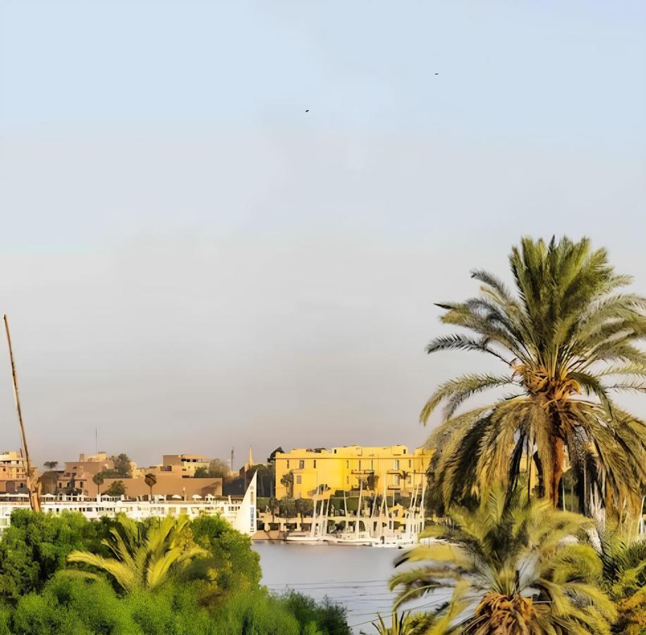Royal Nile View